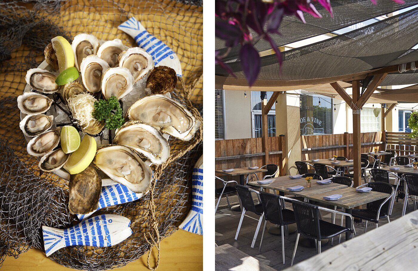 SIDEBAR T&V Oysters - Tide & Vine.jpg